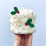 Mini Cake Decorating Kit 2.0